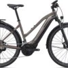 Giant Explore E+ Pro 0 (Damen/625Wh) Metallic Brown / Black Satin-Matt-Gloss