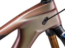 Giant Reign Advanced Pro 0 - Messier/Carbon -Giant MY23ReignAdvancedPro0ColorA MTB 12