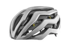 Giant Rev Pro MIPS Helm Silber Matt