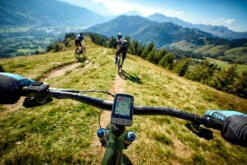 Giant Dash 200 E-Bike & Fahrradcomputer -Giant giant dash l200 e bike fahrradcomputer e mtb